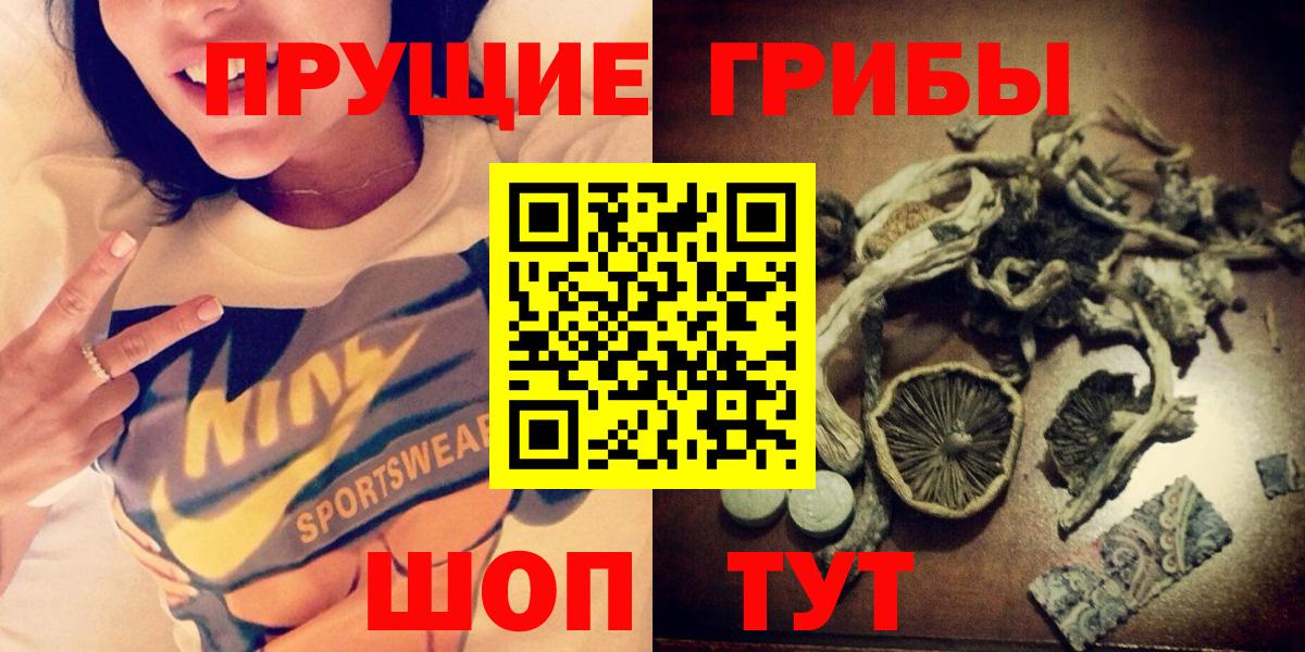 Белово  Галлюциногенные грибы Psilocybine cubensis  Вход с VPN 